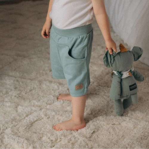 Grüne Shorts mit Aufnäher