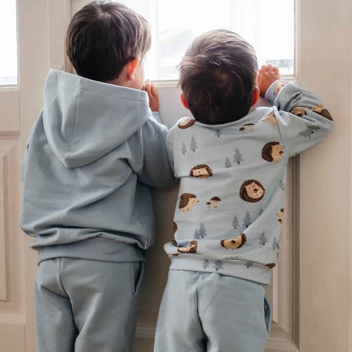 Blaues Kinder-Sweatshirt mit Igelmotiv