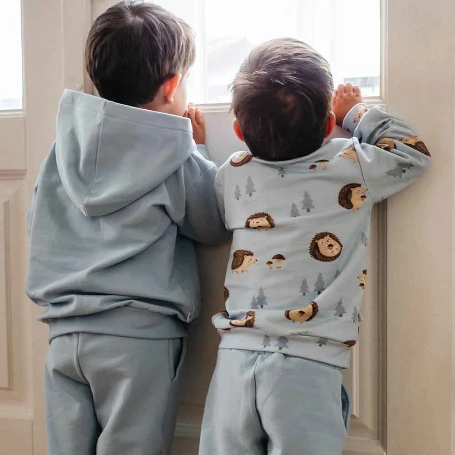 Blaues Kinder-Sweatshirt mit Igelmotiv
