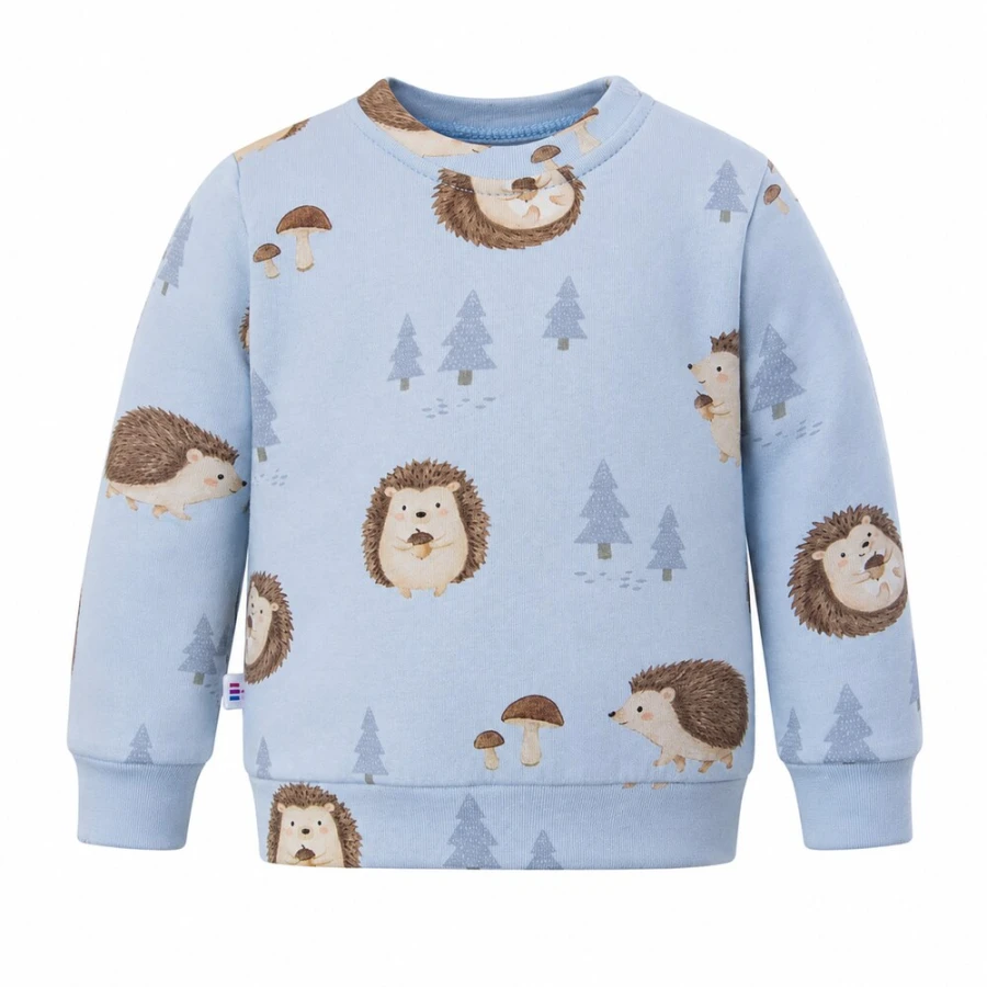Blaues Kinder-Sweatshirt mit Igelmotiv