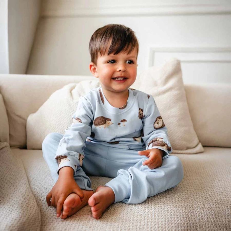 Blaues Kinder-Sweatshirt mit Igelmotiv