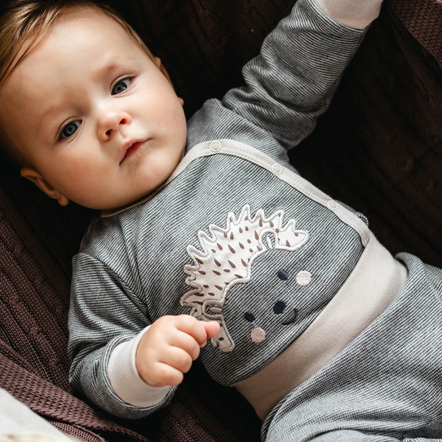 Grauer Wickelbody für Babys mit langen Ärmeln und Igelmotiv