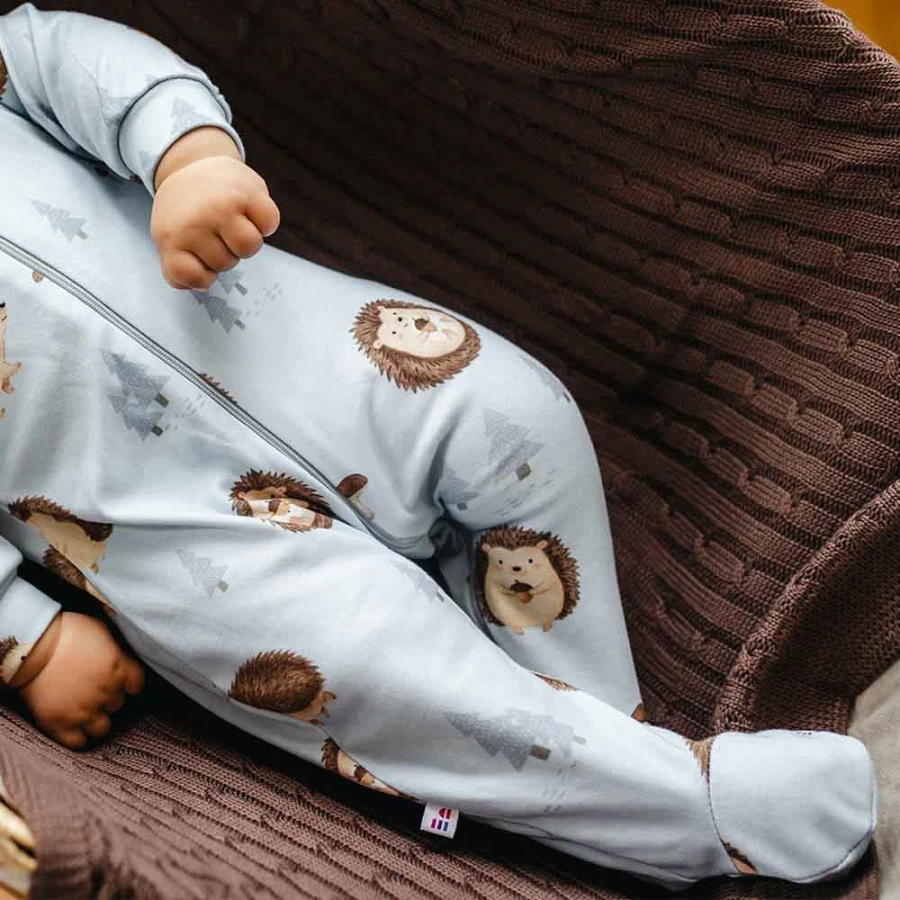 Blauer Baby-Strampler mit Igelmotiv