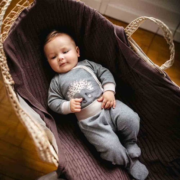 Graue Baby-Stramplerhose mit Streifen und Igelstickerei