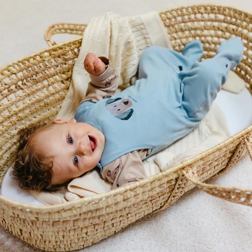 Baby-Schlafstrampler Puppy Playtime blau